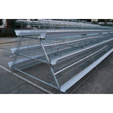 Best Selling Chicken Layer Cage